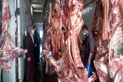 کشتار بیش از 2 هزار راس دام در کشتارگاه شهر طی سال جاری
