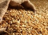 آغاز خرید تضمینی گندم در همدان