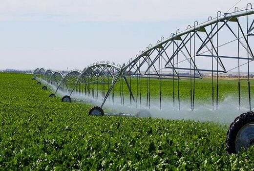 نیمی از اراضی کشاورزی اصفهان مجهز به سیستم‌های مدرن آبیاری است