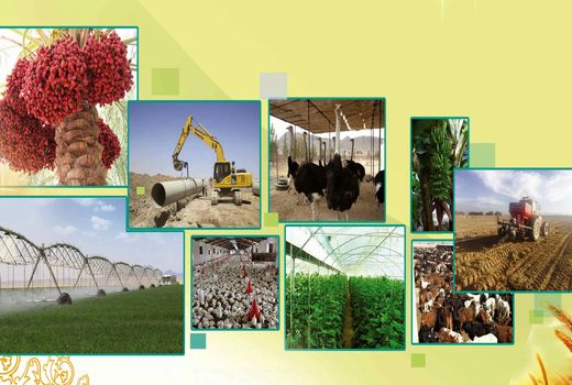 افتتاح 182 پروژه بخش کشاورزی درسیستان وبلوچستان