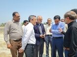هرمزگان پیشرو در اجرای سامانه‌های نوین آبیاری 