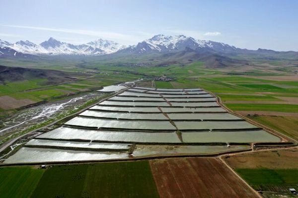 اختصاص ۲۶۰ میلیارد تومان اعتبار برای اقدامات پیشگیرانه در حوزه‌های آبخیز ۱۲ استان آسیب دیده از سیل‌