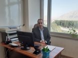 امحای 180 کیلوگرم گردوی خارجی قاچاق