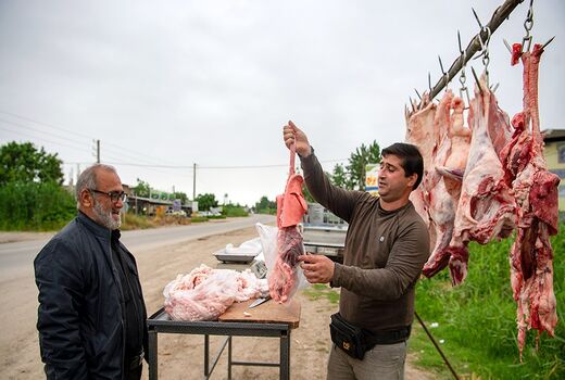  از لبنیات پاستوریزه تا خرید گوشت نظارت شده/توصیه‌های بهداشتی سازمان دامپزشکی برای مسافران نوروزی