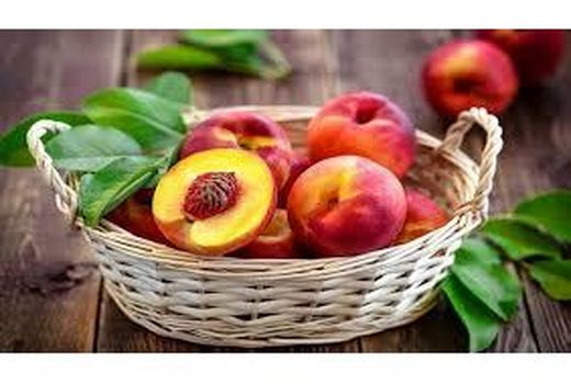 صادرات 360 تن شلیل از میاندورود به خارج از کشور