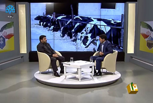 پرورش مرغ و صنایع وابسته، آسیب‌پذیرترین بخش کشاورزی از ویروس کرونا