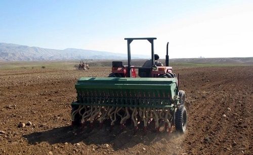 کشت پاییزه در بیضا آغاز شد