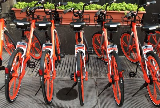 هر جا دوست داشتید دوچرخه‌تان را رها کنید!