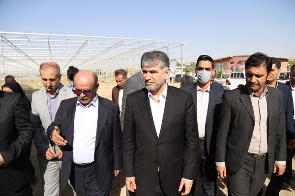 بازدید وزیر جهاد کشاورزی از گلخانه هیدروپونیک کشور در شهرستان دیواندره
