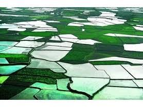 1000 قطعه زمین کشاورزان سوادکوهی در سامانه سیاک ترسیم شد