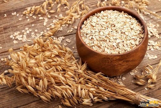 جودوسر، دانه‌ای که سلامت را مهمان سفره می‌کند