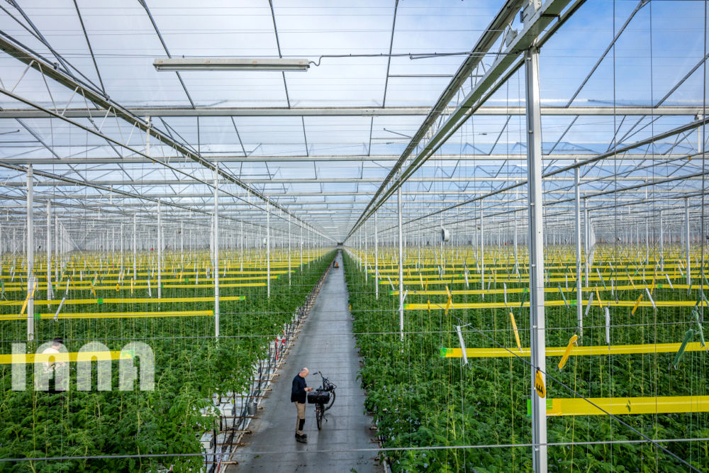 انقلاب غذا در اروپا