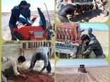کشت مزرعه الگویی مقایسه ارقام گندم (PVS) در بخش درح