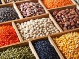 رونق مزرعه در بهار 1404/ از افزایش بهای غلات تا جهش دستمزد کارگران