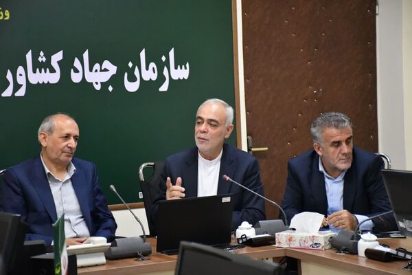 سرمایه‌گذاری حمایت از تولید قراردادی طیور