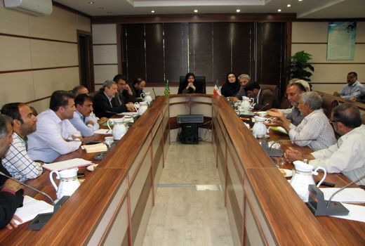 کمیته حل مشکل آب کشاورزی روستاهای بخش طارم سفلی تشکیل شد