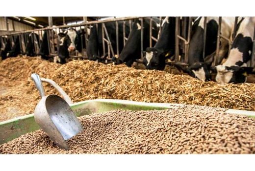 کشف 95 تن نهاده های قاچاق در ساری