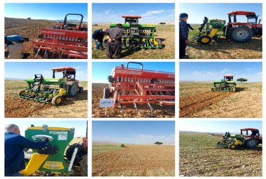 اجرای طرح مزرعه نوآور در شهرستان اندیکا