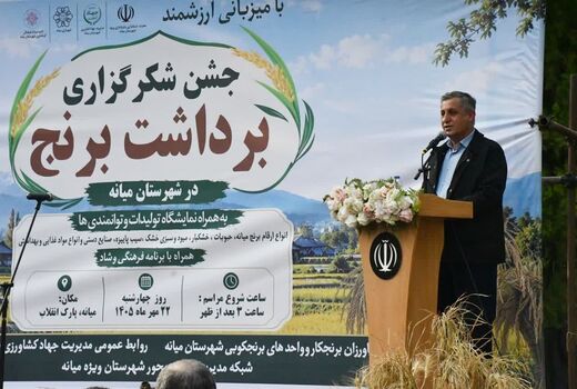 کشت برنج در ۸ هزار هکتار شالیزار آذربایجان‌شرقی 