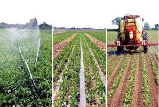 ۸۹۲ طرح کشاورزی در خراسان شمالی معطل تامین منابع 