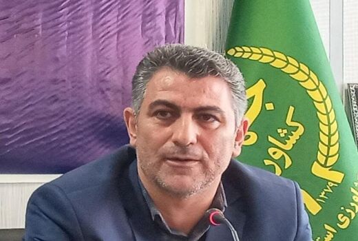وزارت جهاد کشاورزی به دنبال حصول اقتدار غذایی است