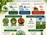 پایش ۱۵ هزار هکتار از مزارع ذرت  در استان قزوین