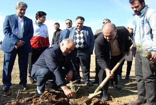 طرح بسیج همگانی نهالکاری در استان تهران آغاز شد