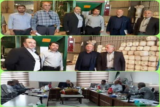 بازدید معاون تولیدات گیاهی سازمان جهاد کشاورزی استان قزوین از یک واحد تولیدی بذر