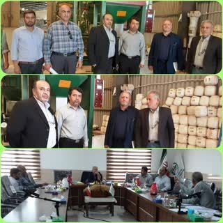 بازدید معاون تولیدات گیاهی سازمان جهاد کشاورزی استان قزوین از یک واحد تولیدی بذر