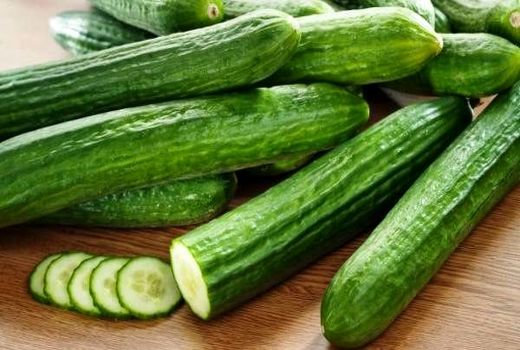 اجرای کشت نشائی خیار برای نخستین بار در شهرستان بهار