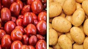 تعادل عرضه و تقاضای سیب زمینی تا اواخر ماه