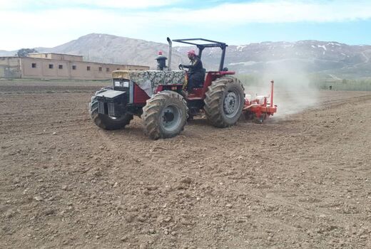آغاز کشت چغندر قند در شهرستان کیار