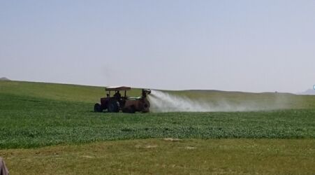 آغاز کنترل شیمیایی علف‏های هرز مزارع غلات استان مرکزی 