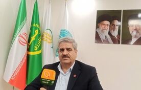 ظرفیت جایگزینی بیش از ۳.۵ میلیون تن ذرت با منابع خوراکی داخلی فراهم شد