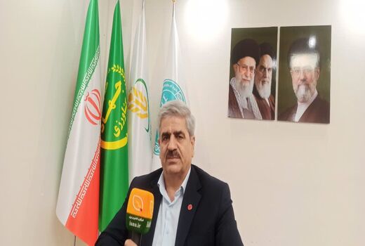 ظرفیت جایگزینی بیش از ۳.۵ میلیون تن ذرت با منابع خوراکی داخلی فراهم شد