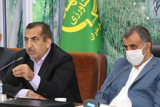تحقق کشاورزی علمی با ورود 105 محقق به عرصه های تولید