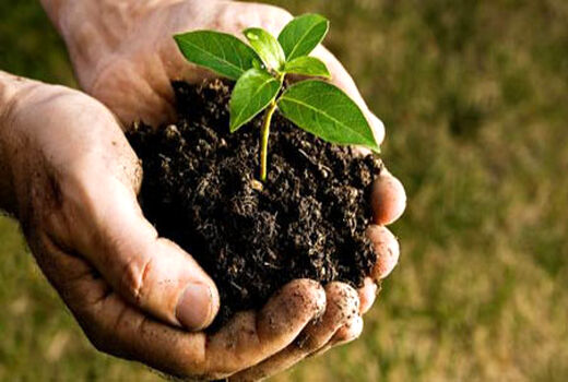 حوزه علمی؛ شریک اجتماعی حل مسائل منابع طبیعی