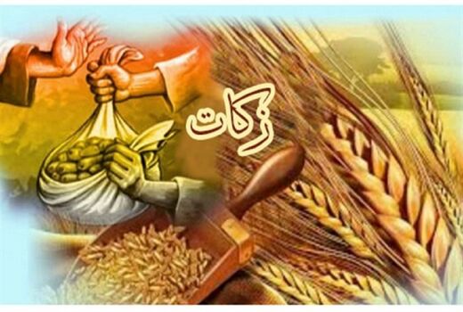 جمع آوری ۱۹ میلیارد تومان زکات در خراسان شمالی 