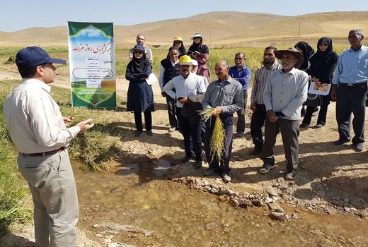 اجرای 94 برنامه آموزشی ویژه بهره‌برداران بخش کشاورزی شهرستان شهرکرد 