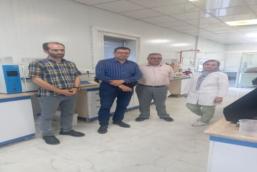خرید ۳۲ هزار تن گندم از کشاورزان شهرستان البرز