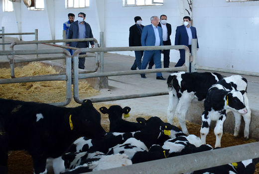 جهش تولید در بخش کشاورزی با تسهیل در سرمایه گذاری محقق می‌شود