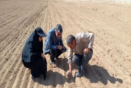 چهارمحال و بختیاری رتبه چهارم کشوری جهش تولید در دیمزار‌ها