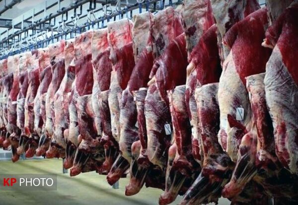32 هزار تن گوشت قرمز در سال 1400 در کردستان تولید شد

