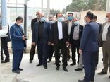 احداث بزرگترین گلخانه شیشه‌ای استان تهران درشهرستان پیشوا