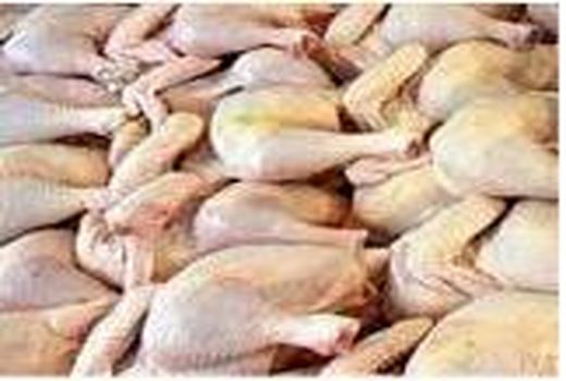 3700 تن گوشت سفید در سوادکوه‌شمالی تولید شد