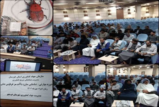 آشنایی و آگاهی کشاورزان با خسارت آفت سرخرطومی خرما