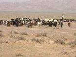 خشکسالی وخشک بودن چراگاه های حاشیه شهرستان جاجرم