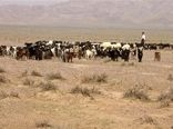 خشکسالی وخشک بودن چراگاه های حاشیه شهرستان جاجرم