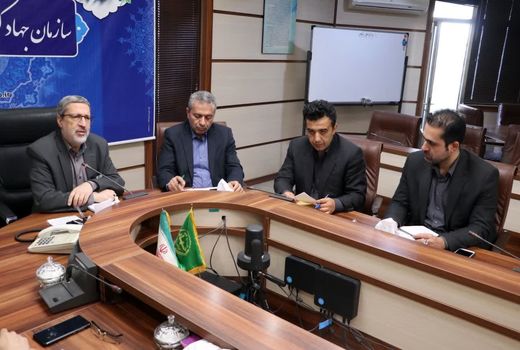 توزیع مرغ گرم و زنده خارج از شبکه در استان قزوین ممنوع است