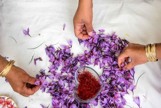 ایران مرجع تعیین قیمت جهانی زعفران می‌شود